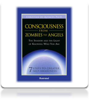 Consciousness from Zombies to Angels (Illustrated)