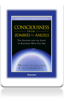 Consciousness from Zombies to Angels (Illustrated)